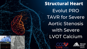 Evolut PRO TAVR for Severe Aortic Stenosis with Severe LVOT Calcium